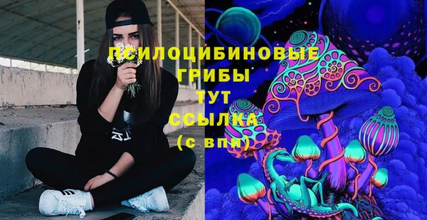 мяу мяу мука Елабуга