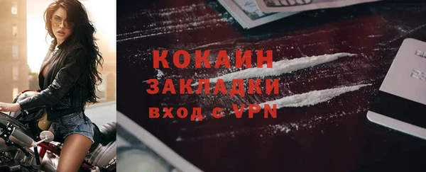 ПСИЛОЦИБИНОВЫЕ ГРИБЫ Арсеньев