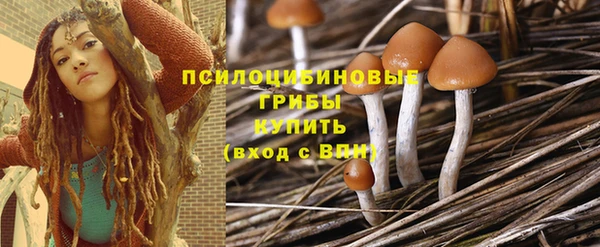 спиды Армянск