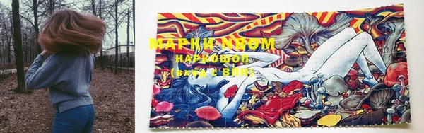 ПСИЛОЦИБИНОВЫЕ ГРИБЫ Арсеньев