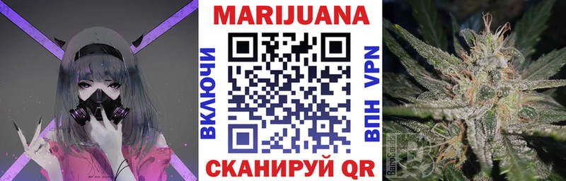 где можно купить   Сураж  Конопля план 